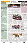 ePaper Page No  (3)